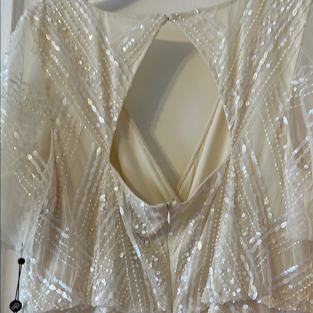 HP 🎀Adrianna Papell Cream Wedding Gown with Flutter Sleeves and V-Neck - Picture 9 of 16